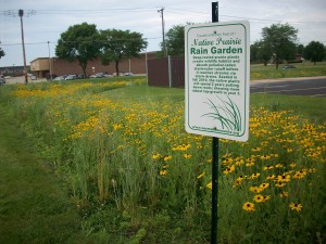 rain garden sign